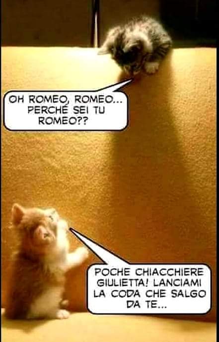 facciamo ridere un po'... - Pagina 5 Fb_img75