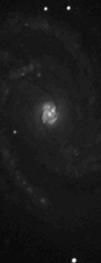 Supernova dans M100 M100sn10