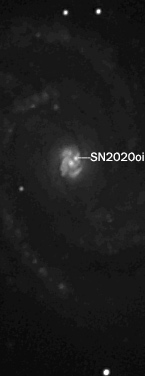 Supernova dans M100 Sn202010
