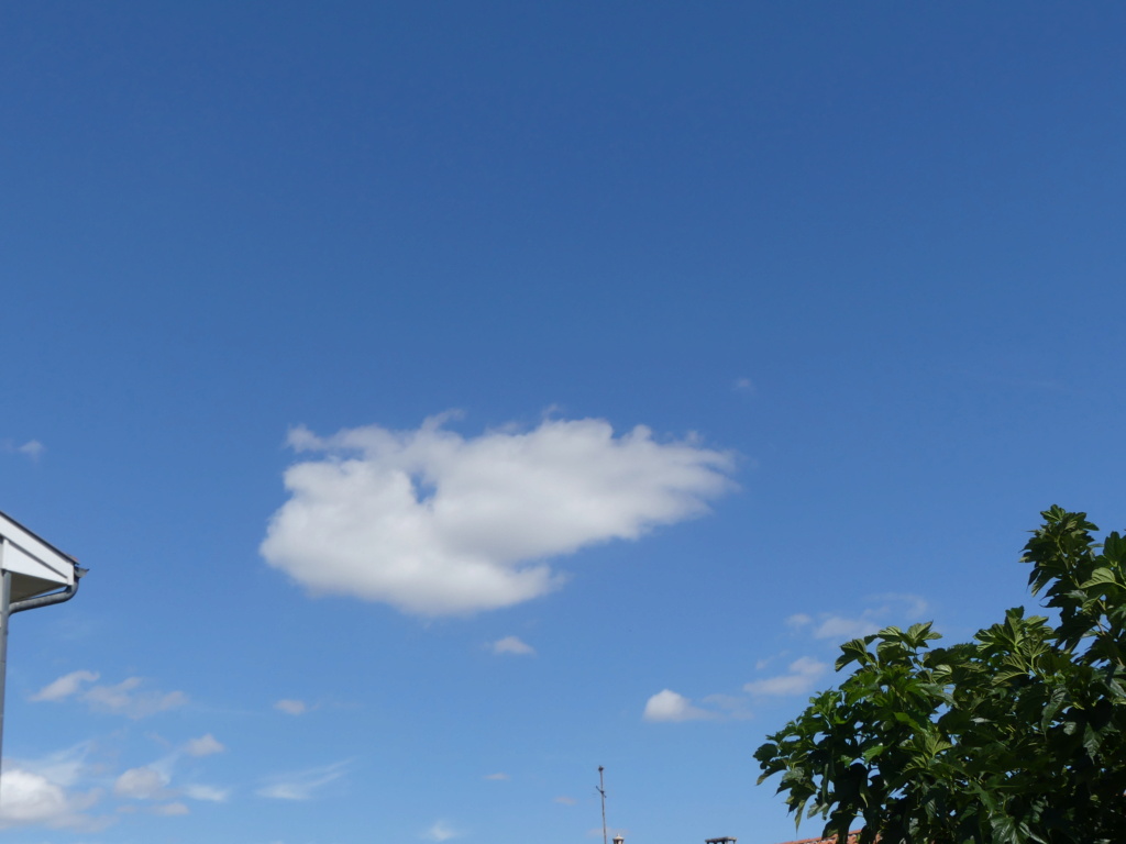 Sujet photo du 27 08  : le ciel de la journée P1050010