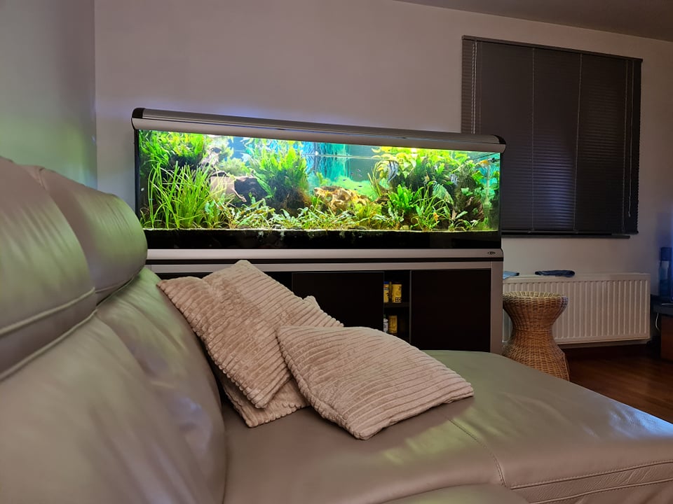 Aquarium 750L Aluminium anodisé + Meuble GV78 Aquari13