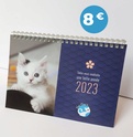 Forum adoption chats: Kerkaz'h Le Village des Chats 31195611