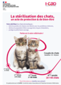 Nos chats et chatons bientôt à l'adoption - MAJ 31/07/2022 Trac_s11
