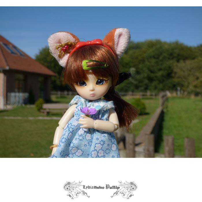 Liloow change de look * Pullip Wilhelmina * Kitsun14