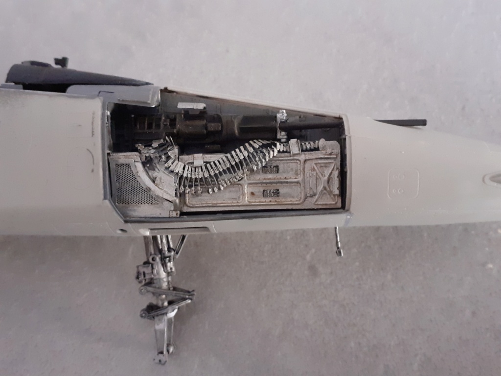 Un tigre en Arizona (F-5E Tiger II - Kitty Hawk 1/32) 20192064