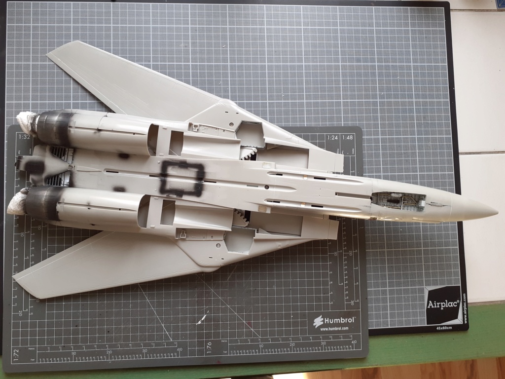 Grumman F-14A Tomcat : chapeau haut de forme & griffes d'acier [Tamiya 1/32°] de Canard - Page 3 20200354