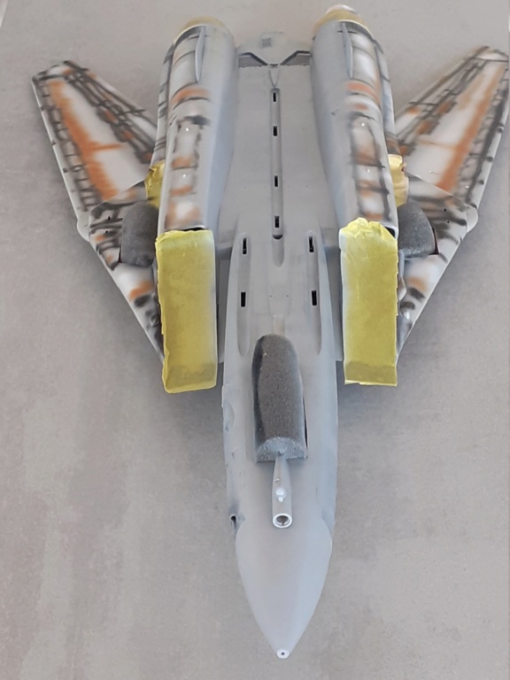 Chapeau haut de forme et griffes d'acier (F-14A Tomcat - Tamiya 1/32) - Page 16 20201900