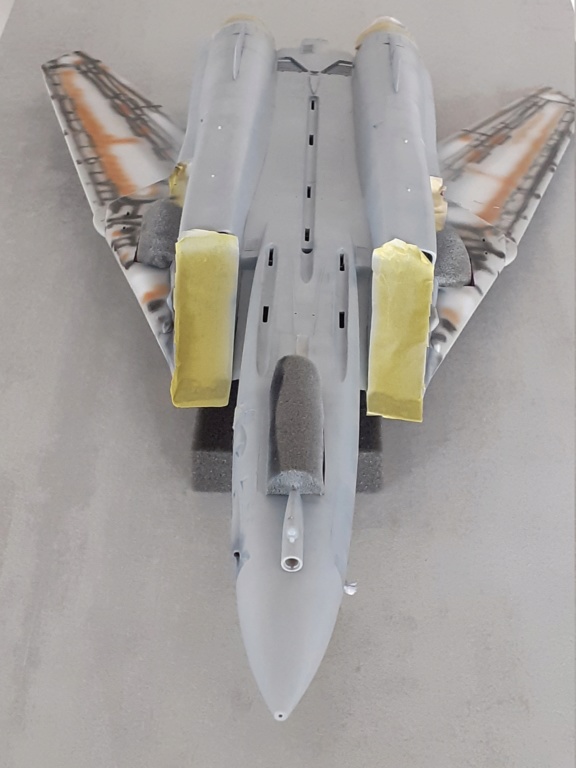 Chapeau haut de forme et griffes d'acier (F-14A Tomcat - Tamiya 1/32) - Page 16 20201926