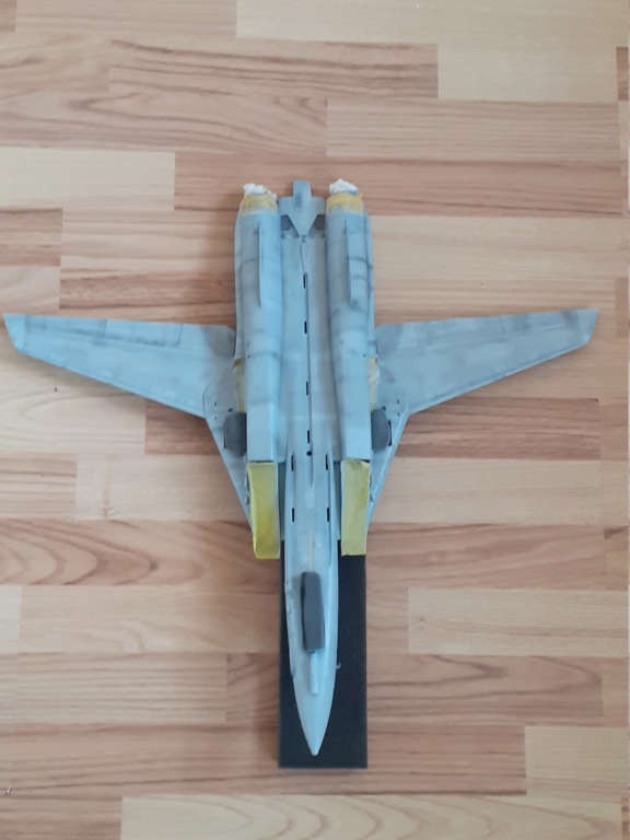 Chapeau haut de forme et griffes d'acier (F-14A Tomcat - Tamiya 1/32) - Page 17 20202074