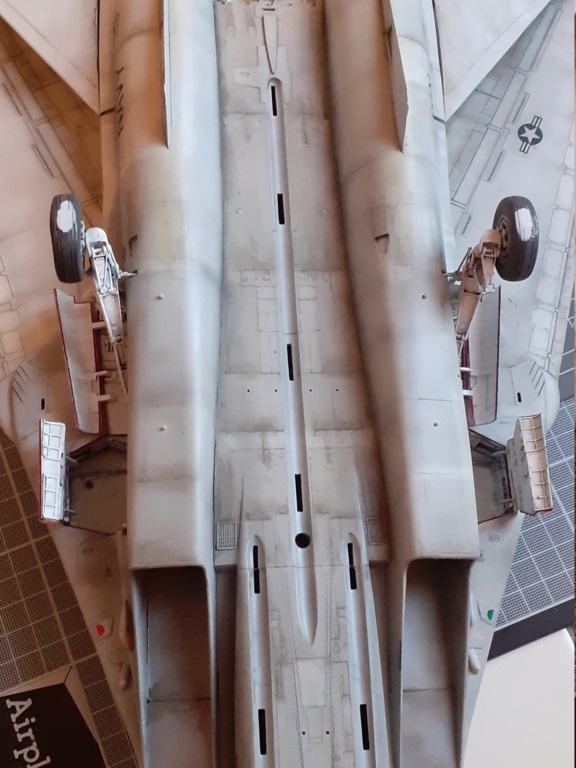 Grumman F-14A Tomcat : chapeau haut de forme & griffes d'acier [Tamiya 1/32°] de Canard - Page 12 20203913