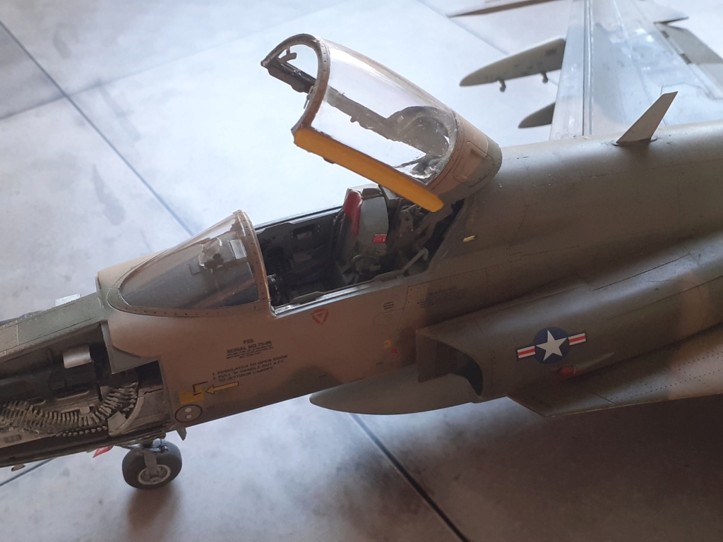 Northrop F-5E Tiger II : un tigre en Arizona [Kitty Hawk 1/32°] de Canard - Page 5 20204145