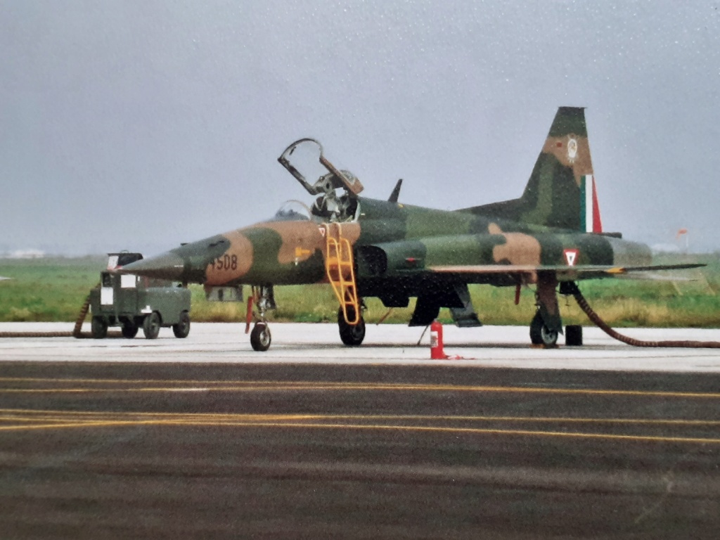 Un tigre en Arizona(F-5E Tiger II Kitty Hawk(1/32) 20204474