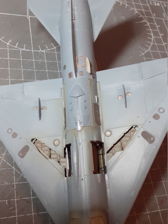 MiG-21 PFM Viet Air Force [Eduard 1/48°] de Canard - Page 2 20210422