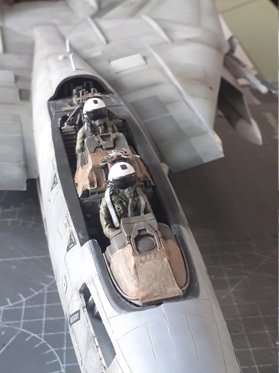 Grumman F-14A Tomcat : chapeau haut de forme & griffes d'acier [Tamiya 1/32°] de Canard - Page 14 20210645