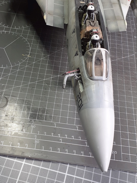 Grumman F-14A Tomcat : chapeau haut de forme & griffes d'acier [Tamiya 1/32°] de Canard - Page 15 20210976