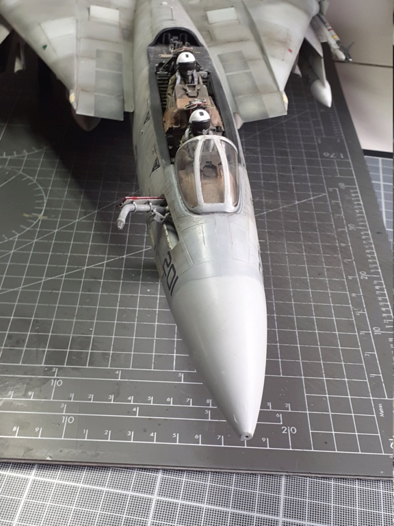 Chapeau haut de forme et griffes d'acier (F-14A Tomcat - Tamiya 1/32) - Page 32 20210978