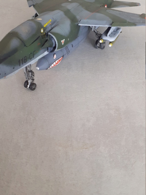 Mirage F1 CR : Opération Serval [Italeri 1/48°] de Canard - Page 6 20211317