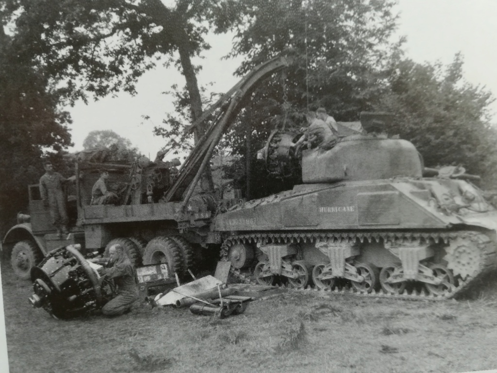 M4 Sherman - [Concours Overlord] Un Ouragan dans la Tempête - M4 Sherman - Omaha Beach 6 Juin 1944 (Heller 1/72) Img_1059