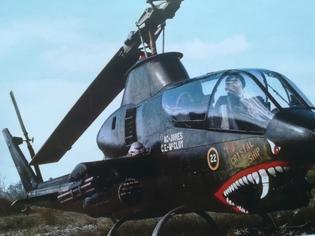 « The Crystal Ship » - Bell AH-1 G Cobra (Revell 1/72) Img_1204