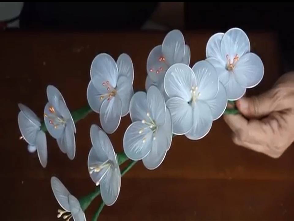 Flores con bolsas plásticas Diapos52