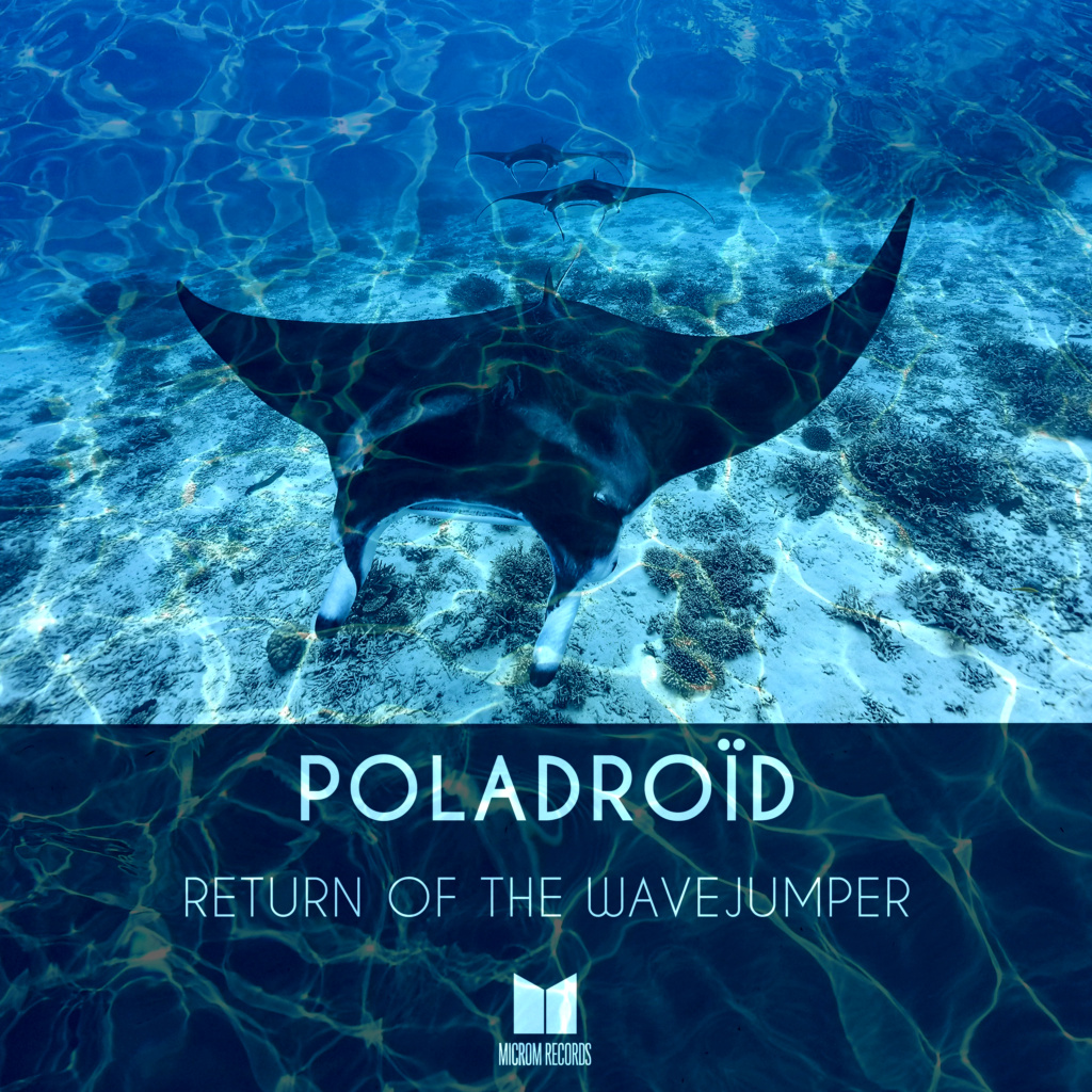 Poladroïd - Return of the Wavejumper - (MR028) [Microm Records] Poladr10