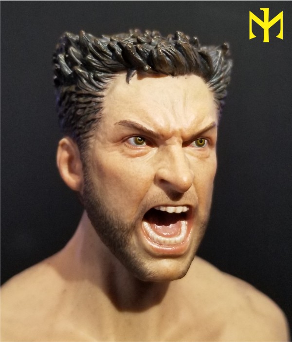 Topics tagged under wolverine on OneSixthFigures Addwwb13