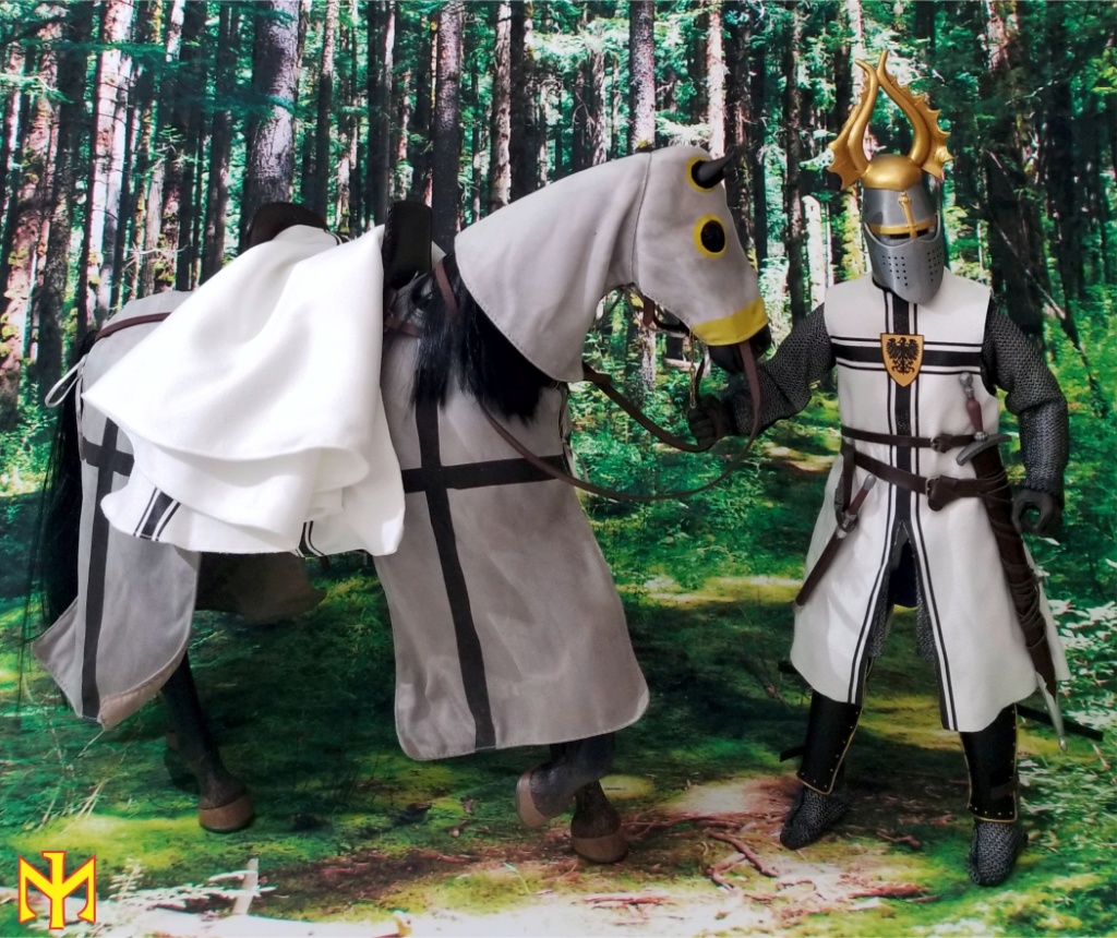 chinatoys - Teutonic Knight by China Toys Review Ctkt0610