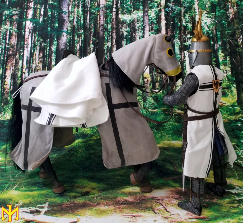 Military - Teutonic Knight by China Toys Review Ctkt0710