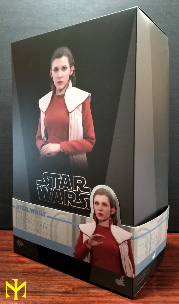 Bespin - STAR WARS Hot Toys Princess Leia (Bespin) (updated with Part II: Kitbash Potential) Htleia12