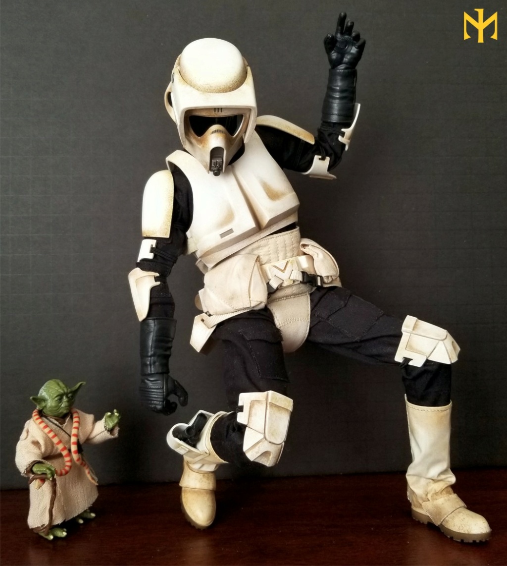 review - Sideshow and Hot Toys Star Wars Scout Troopers (updated) Comparative Review Htstm018