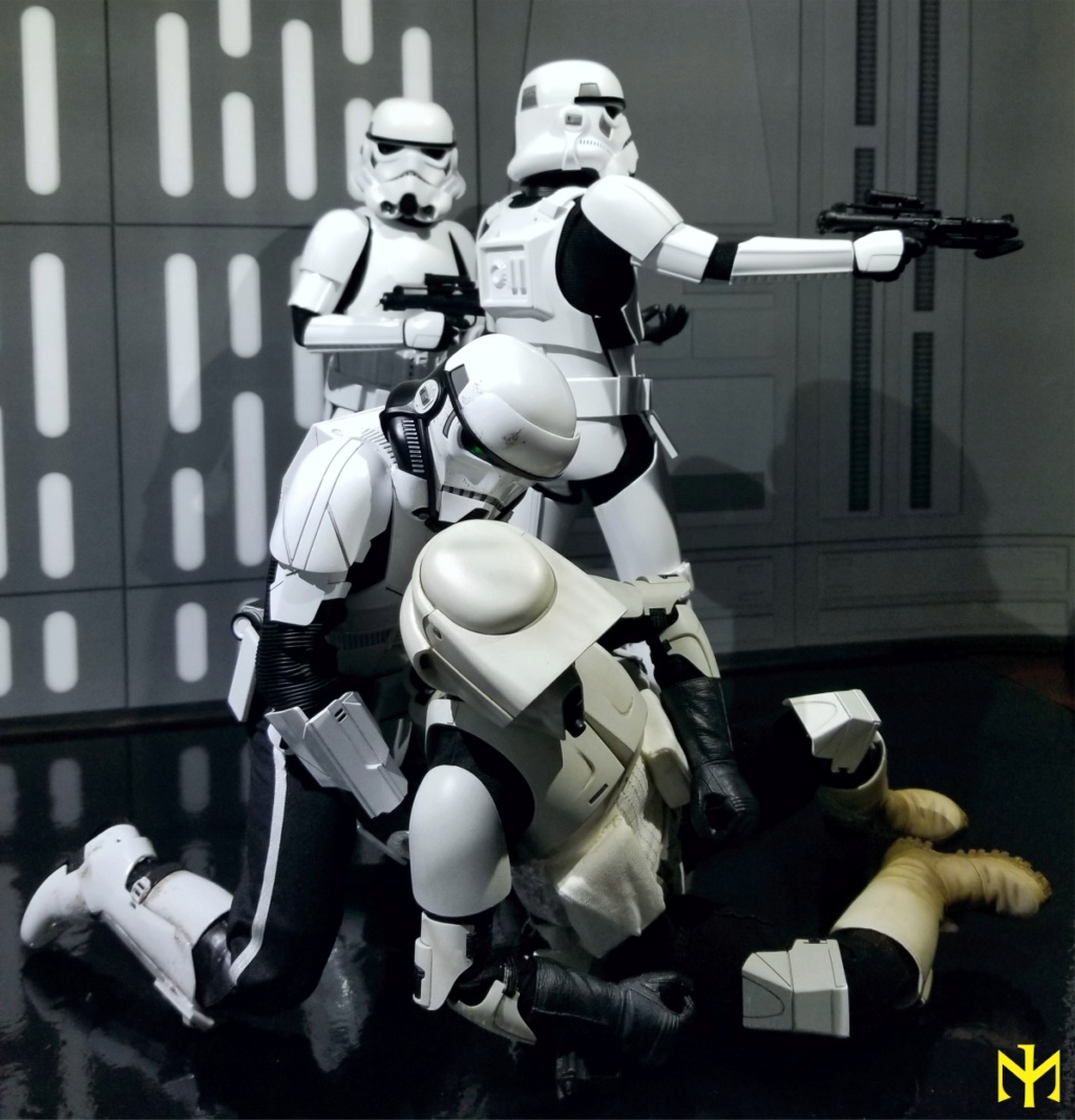 Imperial - STAR WARS Patrol Trooper by Hot Toys - Review Htswpt21