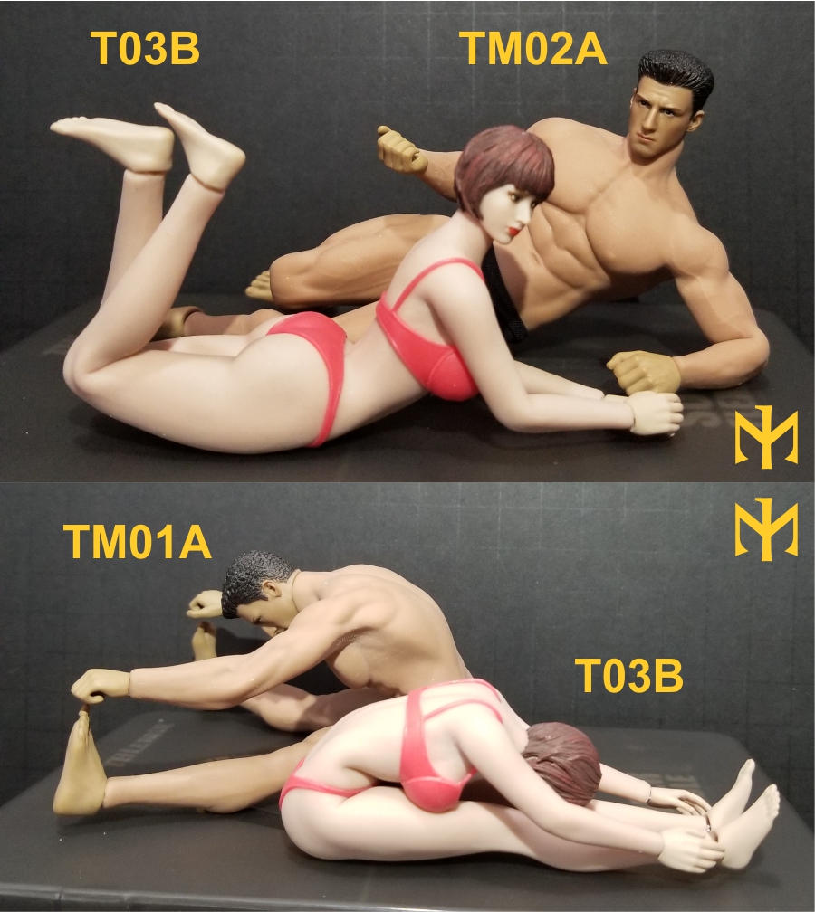 tbleague - TBLeague / Phicen T03B 1:12 seamless female body and friends T03b0610