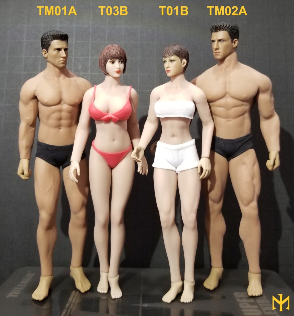 scale - TBLeague / Phicen T03B 1:12 seamless female body and friends T03b0810