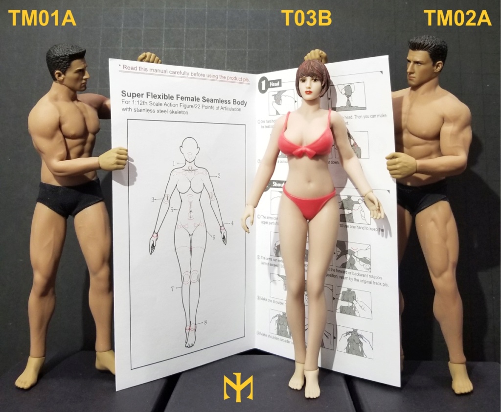 TBLeague - TBLeague / Phicen T03B 1:12 seamless female body and friends T03b1110