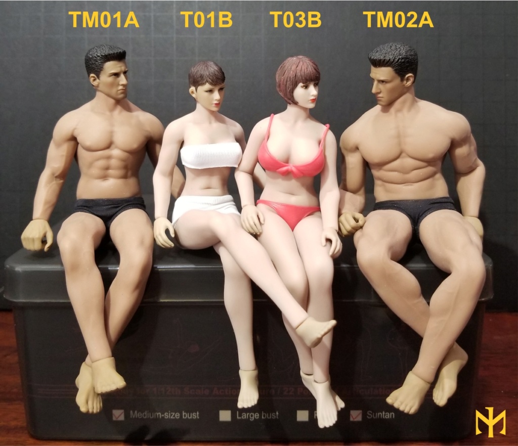 female - TBLeague / Phicen T03B 1:12 seamless female body and friends T03b1210