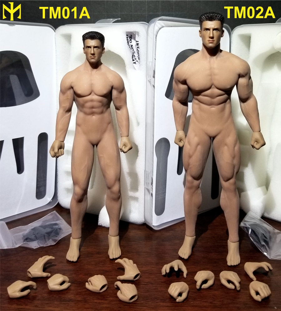 Phicen - TBLeague (Phicen) 1:12 seamless male bodies review (updated) Tbl6m016