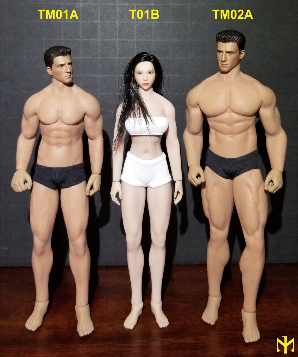 Body - TBLeague (Phicen) 1:12 seamless male bodies review (updated) Tbl6m113