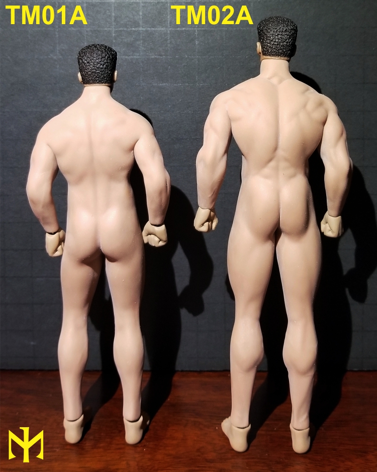 body - TBLeague (Phicen) 1:12 seamless male bodies review (updated) Tbl6m115