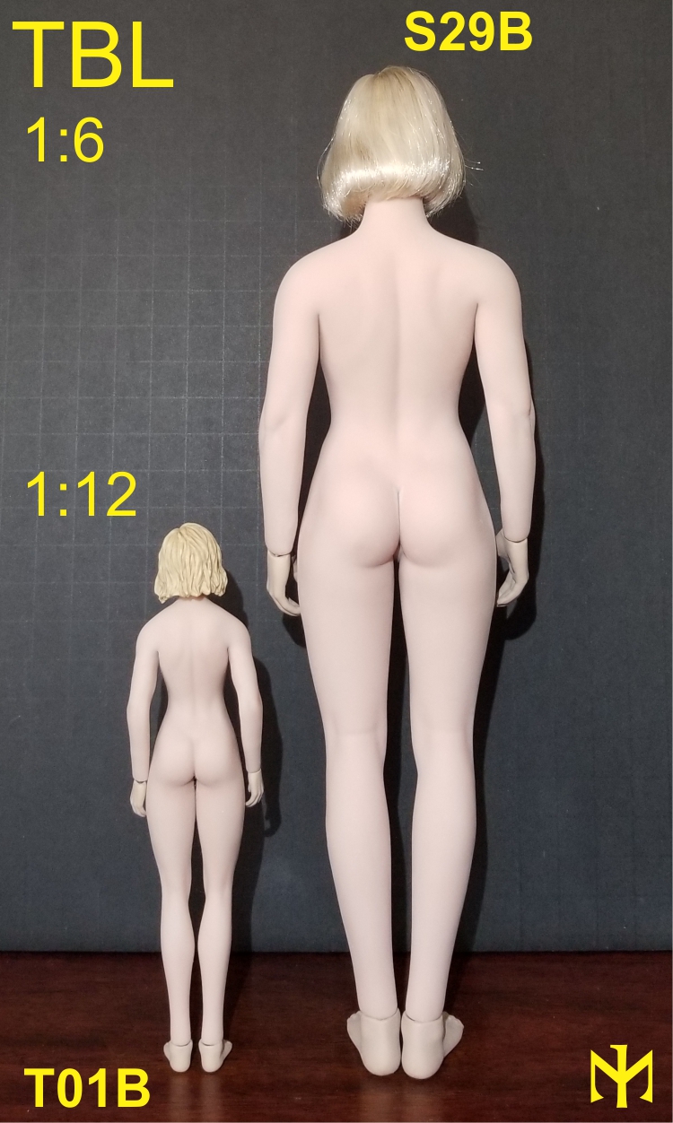 tbleague - TBLeague (Phicen) seamless body scale comparison (updated with Part III) Tblfbs11