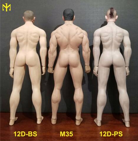Jiaou Doll Male Bodies (10A, 11C, 12D, 17A) with TBLeague (M30, M31, M32,  M33, M35) comparisons, Updated 8 February 2024