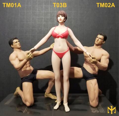 TBLeague / Phicen T03B 1:12 seamless female body and friends