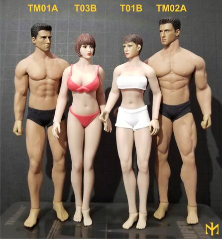 phicen female body