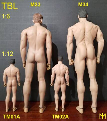 TBLeague (Phicen) seamless body scale comparison (updated with Part III)