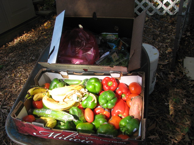 Super Compost? 10_23_11