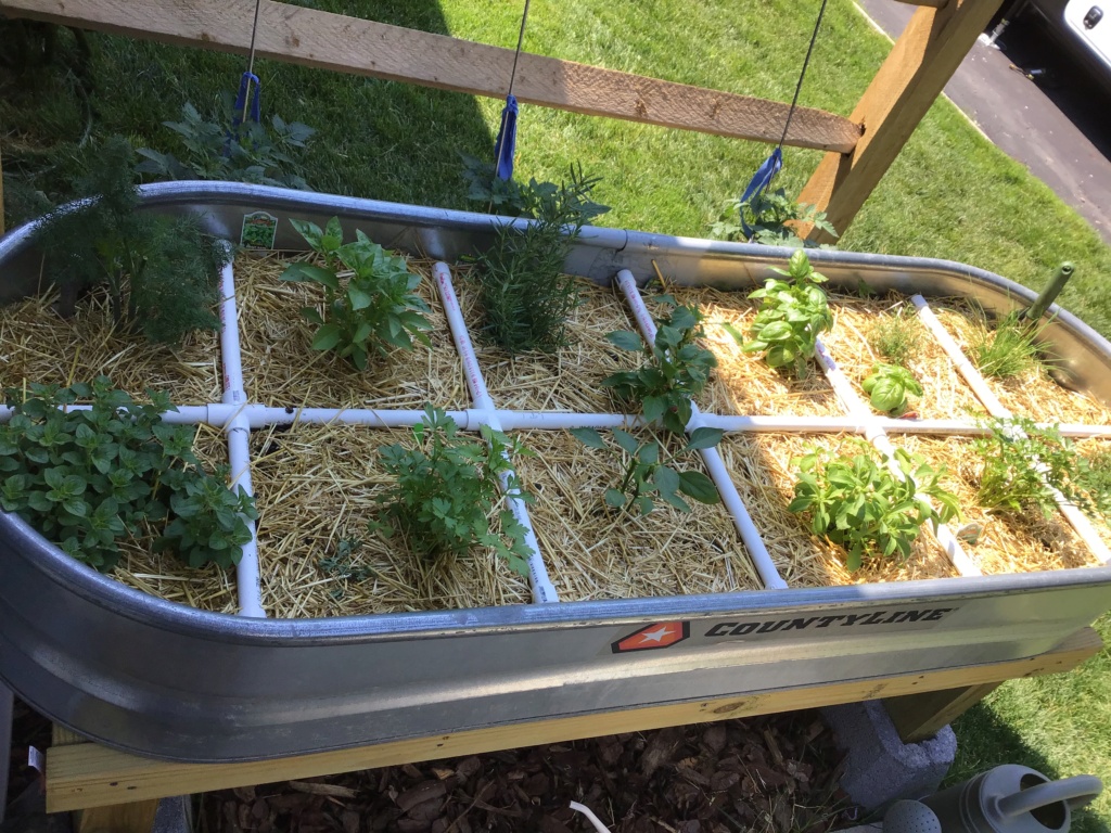Miniature garden project. 4194df10