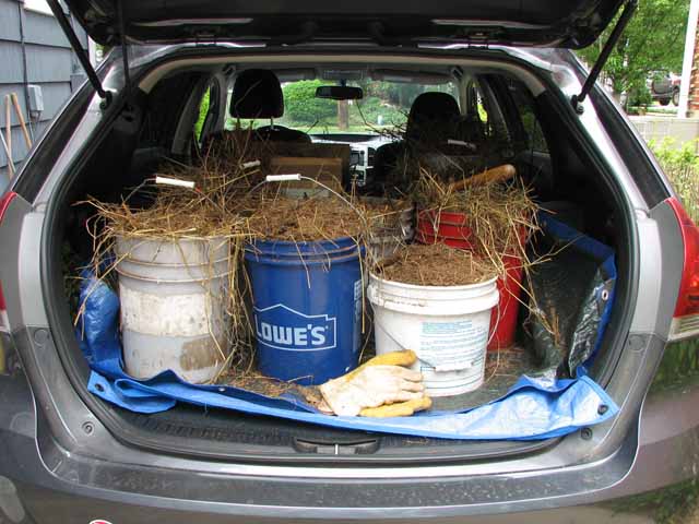 Super Compost? Horses13