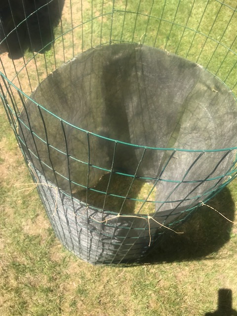 inexpensive compost cage.. Img_1516