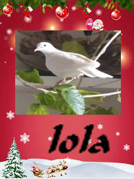 le sud de Lola Lola_b10
