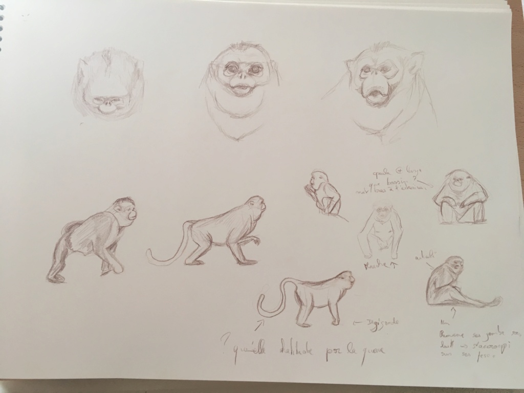 Mes croquis Img_6214