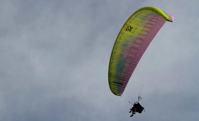 Thème du mois de juin 2019 : Courbe, rond, rondeur   Img_6610